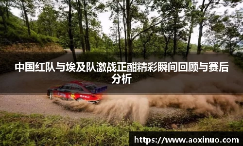 中国红队与埃及队激战正酣精彩瞬间回顾与赛后分析